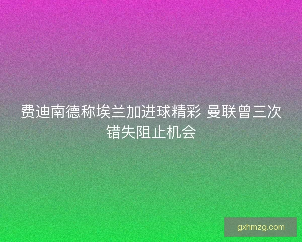 费迪南德称埃兰加进球精彩 曼联曾三次错失阻止机会